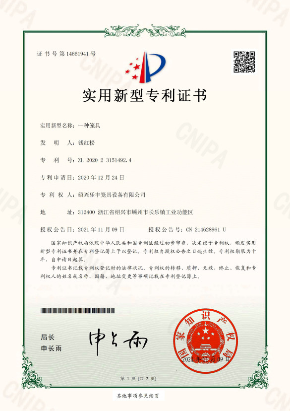 Research and Development Strength and Innovation 7 Certificate 07