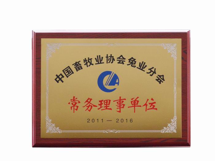 Research and Development Strength and Innovation 15 Certificate 14