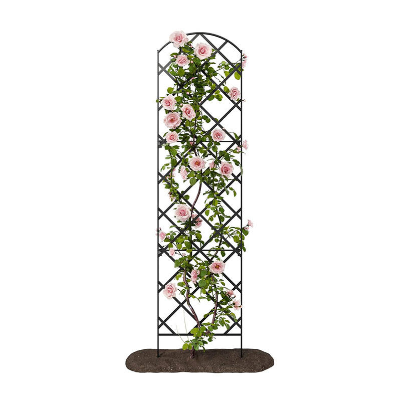 Black Metal Diamond Lattice Garden Trellis (2) Black Metal Diamond Lattice Garden Trellis 2