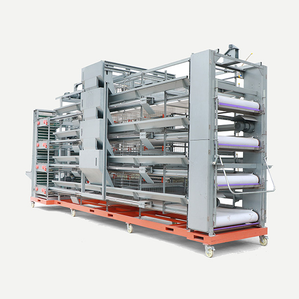 chicken cage